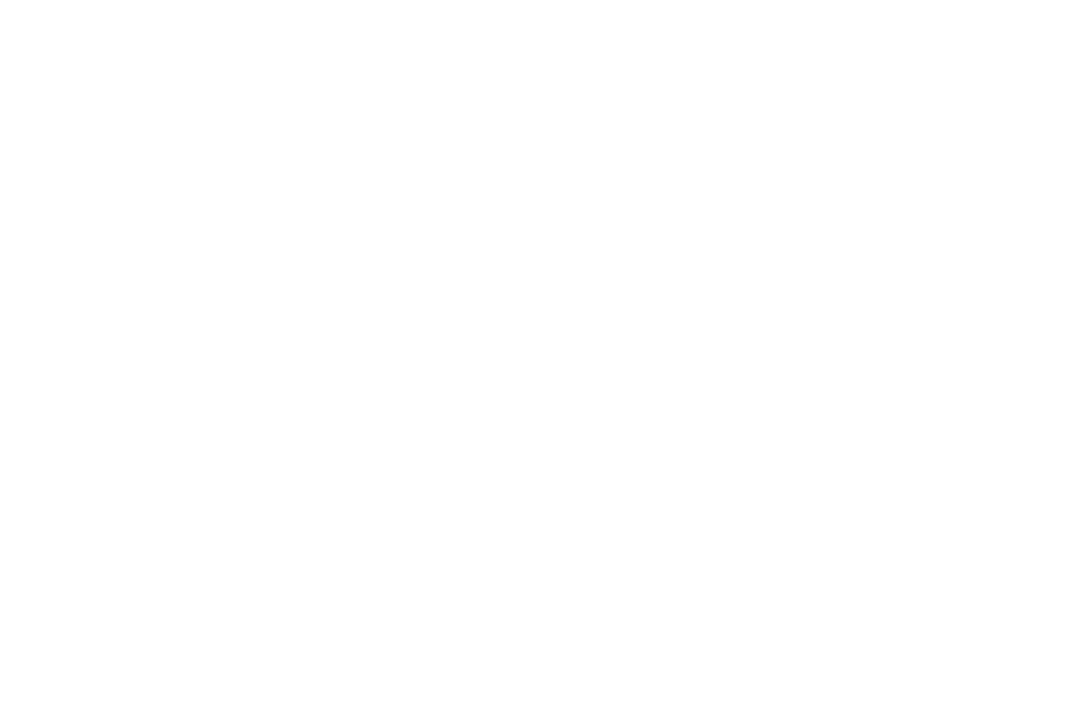 株式会社Spicy Companyロゴ